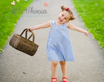 Dorothy Wizard of Oz Dress, Dorothy Dress, Dorothy Halloween Costume, Wizard of Oz Costume, Girls Dress, Girls Costume, Toddler Costume