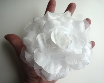 SHEER ROSE , Rose Flower, True white / TG - 11