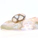 Big Hole Bead Fits Troll, Biagi and All other European BHB Charm Bead Bracelets - Snow Leopard BHB