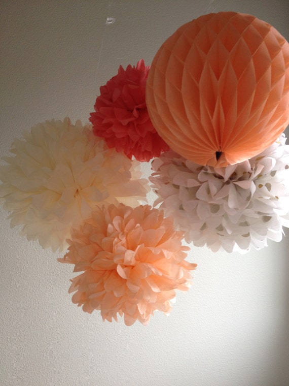Pink Champagne 5 Tissue Paper Pom Poms by prosttothehost on Etsy
