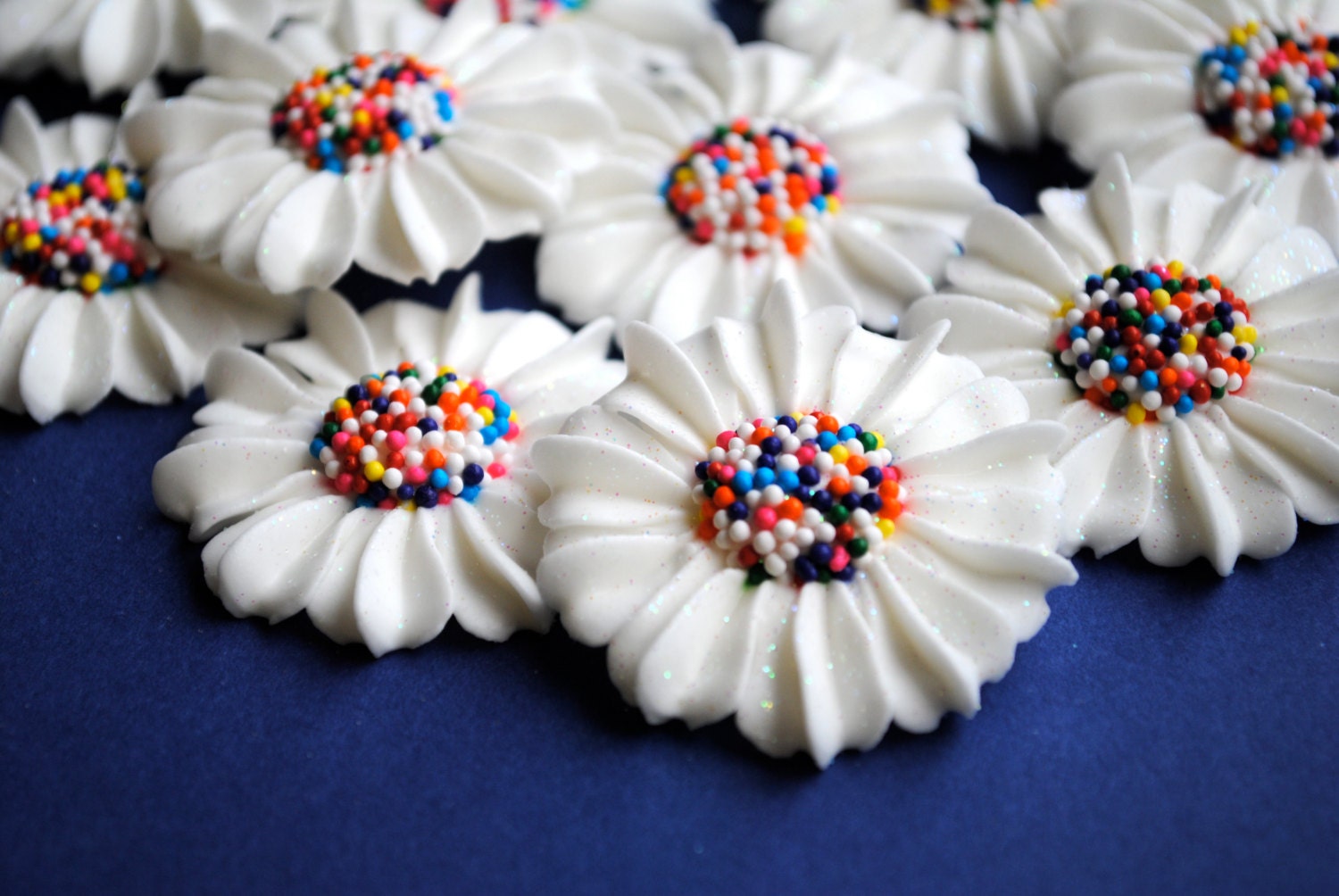 Royal Icing Modern Daisies in White with Rainbow Nonpareil