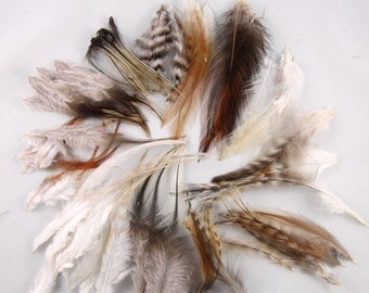 100 Feathers assorted Natural Mix 3 to 6 inches craft feathers k171