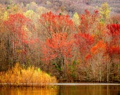 Autumn landscape photography, rustic nature photograph,, red gold brown woodland lake, Fall color