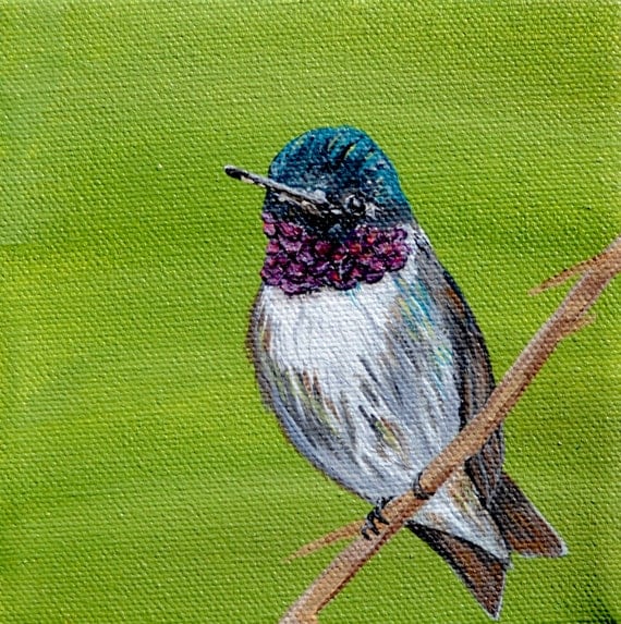 Hummingbird Original Acrylic Painting 5 x 5 by 
