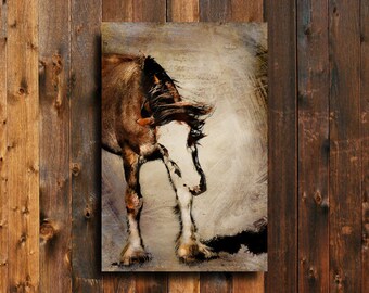 Draft - Draft Horse Art - Clydesdale art - Horse art canvas - Horse canvas - Horse photography - Horse decor - Brown horse - Animal art