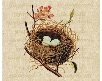 Spring bird nest blue eggs instant graphic download image for paper, decoupage iron on fabric transfer burlap pillows tote bags No. 2100
