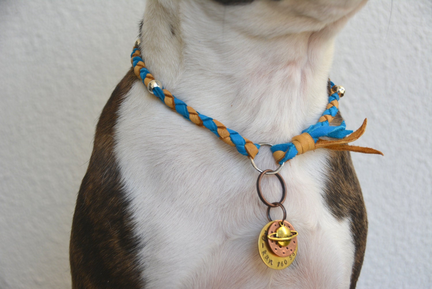 Custom Braided Leather Dog Collar Necklace ID Tag by