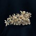Antique Bridal Crown/French/1880s/Wax Floral Blossoms/Honeysuckle, Honesty and Orange Blossoms/Romantic Bridal Wedding Adornment/