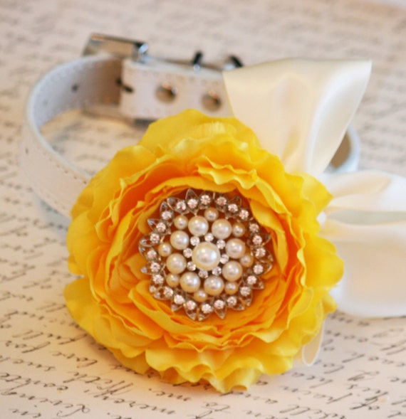 Yellow Floral Dog Collar Pet Wedding Dog Birthday Accessory
