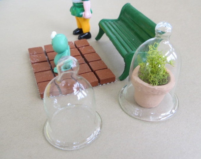 Fairy Garden Accessories, Gnome Frog Glass Cloche with Plant, Terrarium Supplies