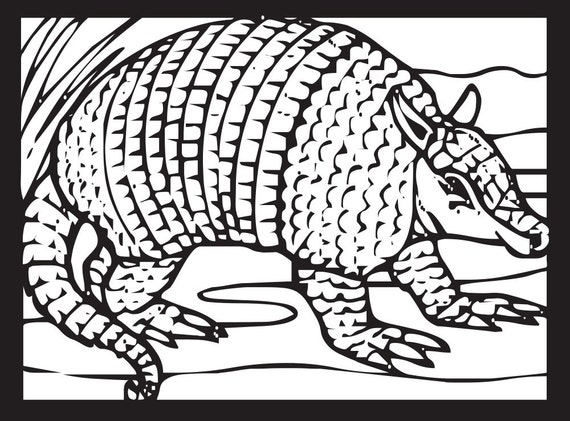 armadillo by WallArtForAllAges on Etsy