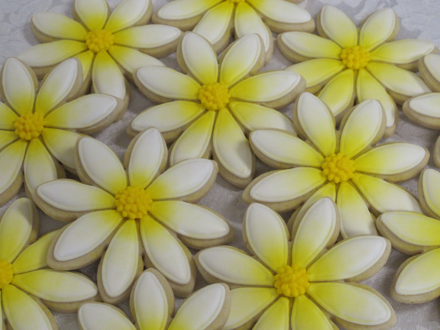 Daisy Daisies Decorated Sugar Cookies Flower by MartaIngros