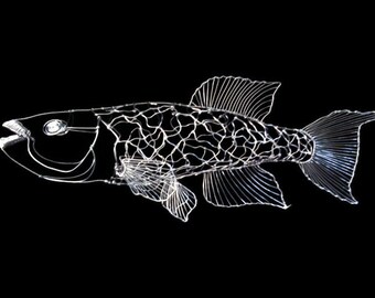 Etsy :: Your place to buy and sell all things handmade