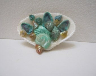 Sea Shell Brooch Pin Mint Green Seashell Jewelry Shell Pin Beach Jewelry Woman Teen Gift Idea