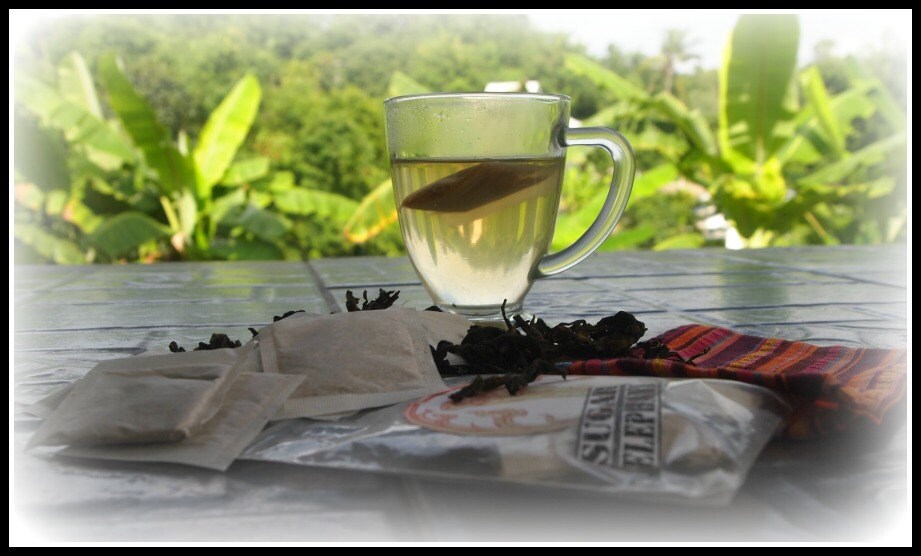 Indian Senna Weight Loss Slimming Herbal Tea by SugarElephantCafe