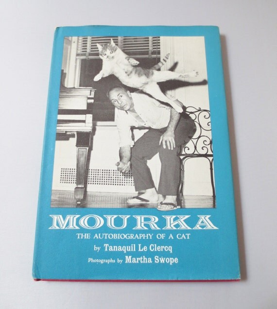 Autobiography of a cat picture