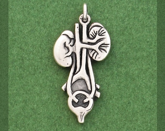 Anatomical Kidney/Bladder Charm