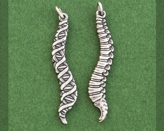 Anatomical Spine Charm