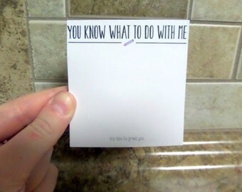 Funny Snarky Post It Notes, Cheap Holiday Gift, "You Know What To Do With Me", Sticky Notes, Post Its