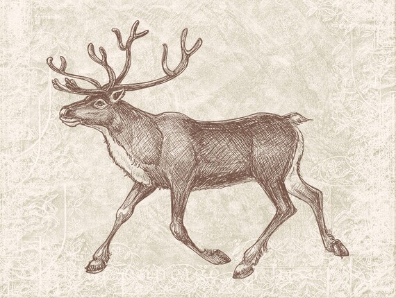 Digital Christmas Reindeer - Vintage Christmas Antlers Reindeer Silhouette Caribou Clipart Printable -  Illustration INSTANT DOWNLOAD