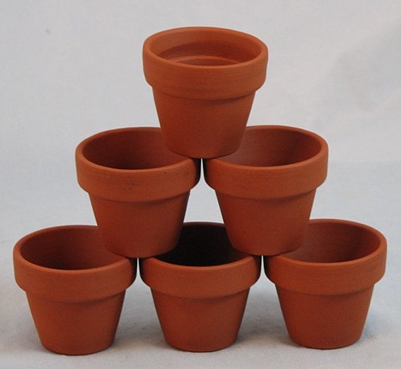 10 3 x 2.5 Mini Clay Pots Great for Plants and