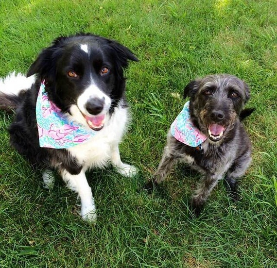 Items similar to Lilly Pulitzer dog bandana Lobstah Roll and Jellies Be Jammin on Etsy