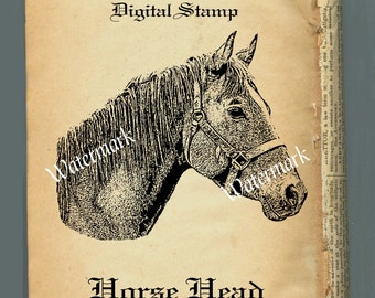 Digital Stamp Clip Art, Horse Head Image PNG Instant Download