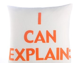 Decorative Pillow, Throw Pillow, "I Can Explain" pillow, 16 inch