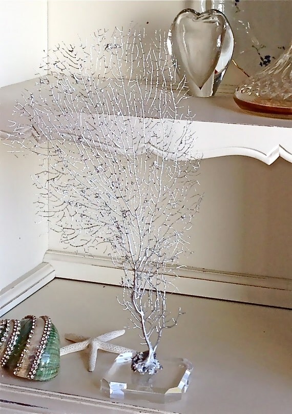 Beach Decor Natural Sea Fan painted by SeashellCollection on Etsy