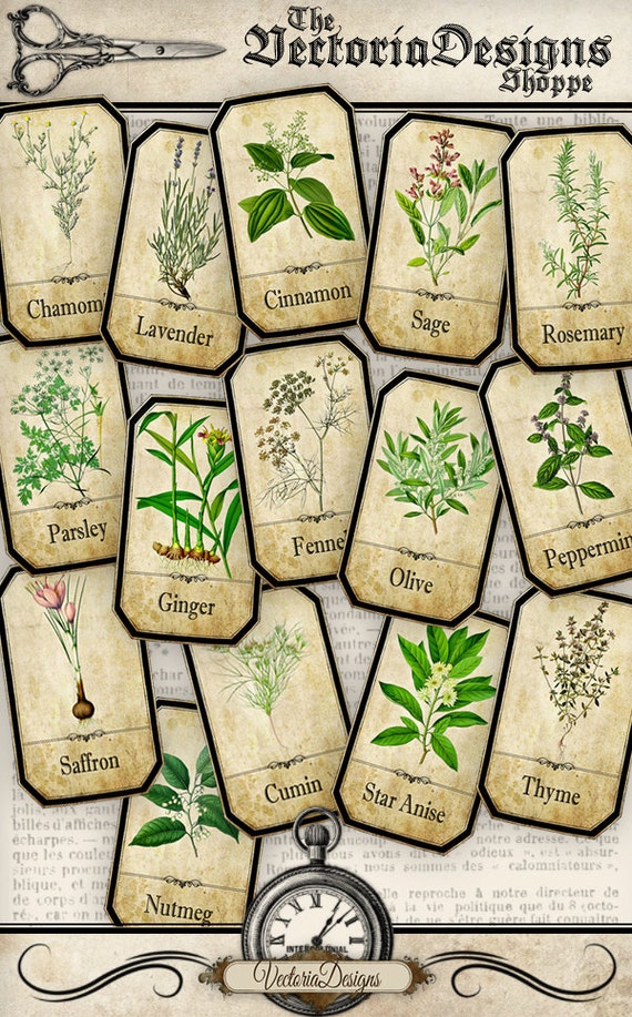 herbs apothecary labels printable labels jar labels tags