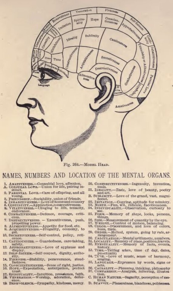 PHRENOLOGY Heads and Faces How to Study Them Book PDF Download