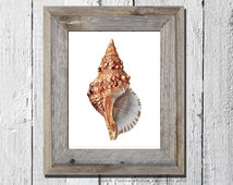 Popular items for sea life wall decor on Etsy