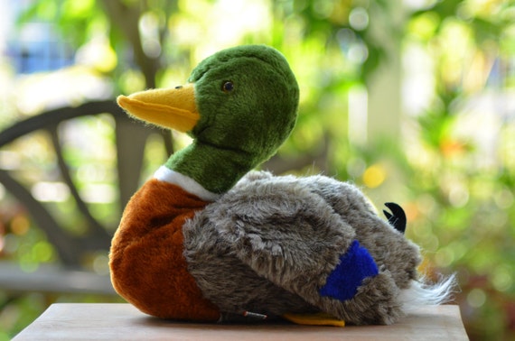 stuffed mallard duck