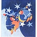 8starsnorth