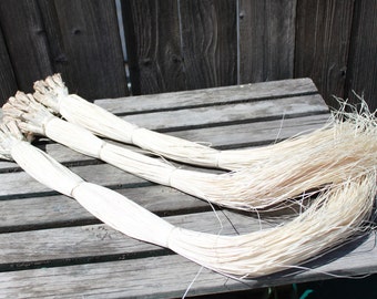 Huge bundle of niau blanc- 400 strands- 20 bundles-LOWER PRICE, Tahitian Costume. Polynesian weaving