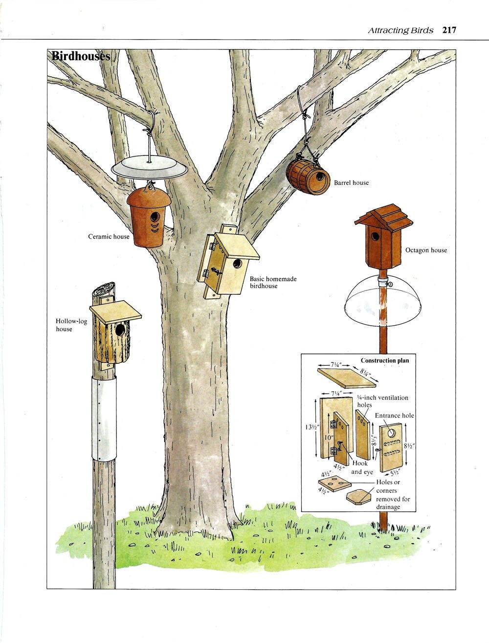  Bird House  Print Vintage DIY Book  Plate Birdhouses Building 