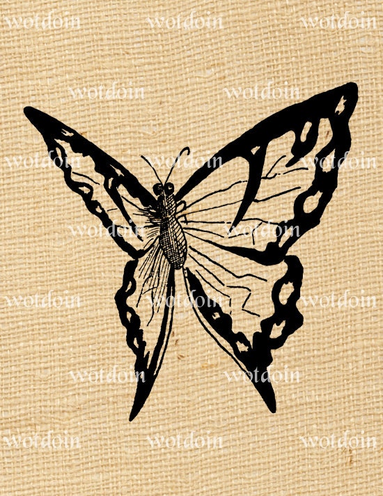 winged insects clipart - photo #39
