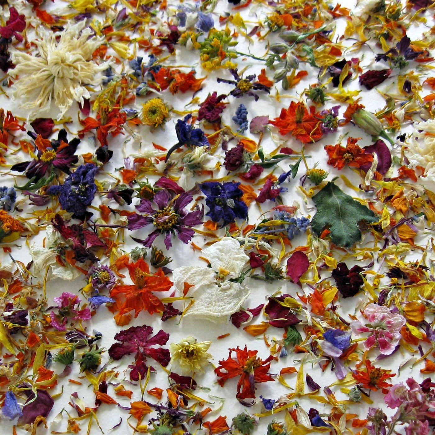 Dried Flower Petals Real Flowers Wedding Decor by LarkspurHill