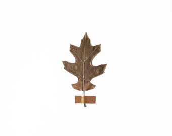 Autumn Leaf 8x10. Fine Art Photographic Natural History Print. Minimal simple style. Natural Home Decor. Indoor garden botanical