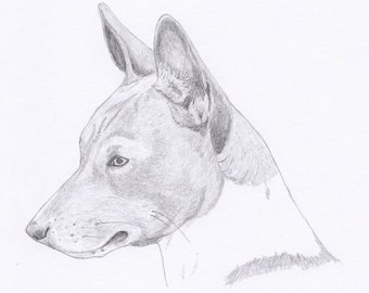 Basinji Note Cards - Gift Set of Eight - Free Shipping US - Original Pencil Art Design - Desert Impressions