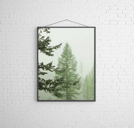 Nature photo print