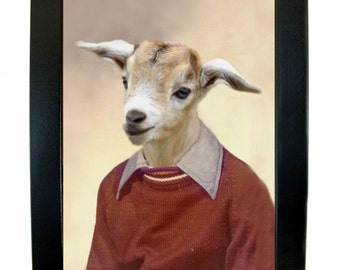 Billy the Goat, School Portrait - Framed Print 6" X 7.75"