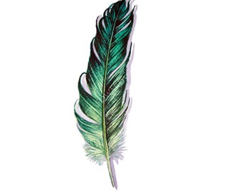 Owl Feather Original watercolor feather study of a by jodyvanB