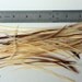 Light Ginger Rooster Saddle Feathers Bulk Craft Feather Supplies for Earrings Hair Accessories Short Feather Extensions Blond Feathers, 70