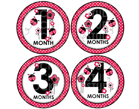 Girl Baby Monthly Bodysuit Sticker or Transfer Printable - Instant Download - Ladybug Red & Black Il_570xn