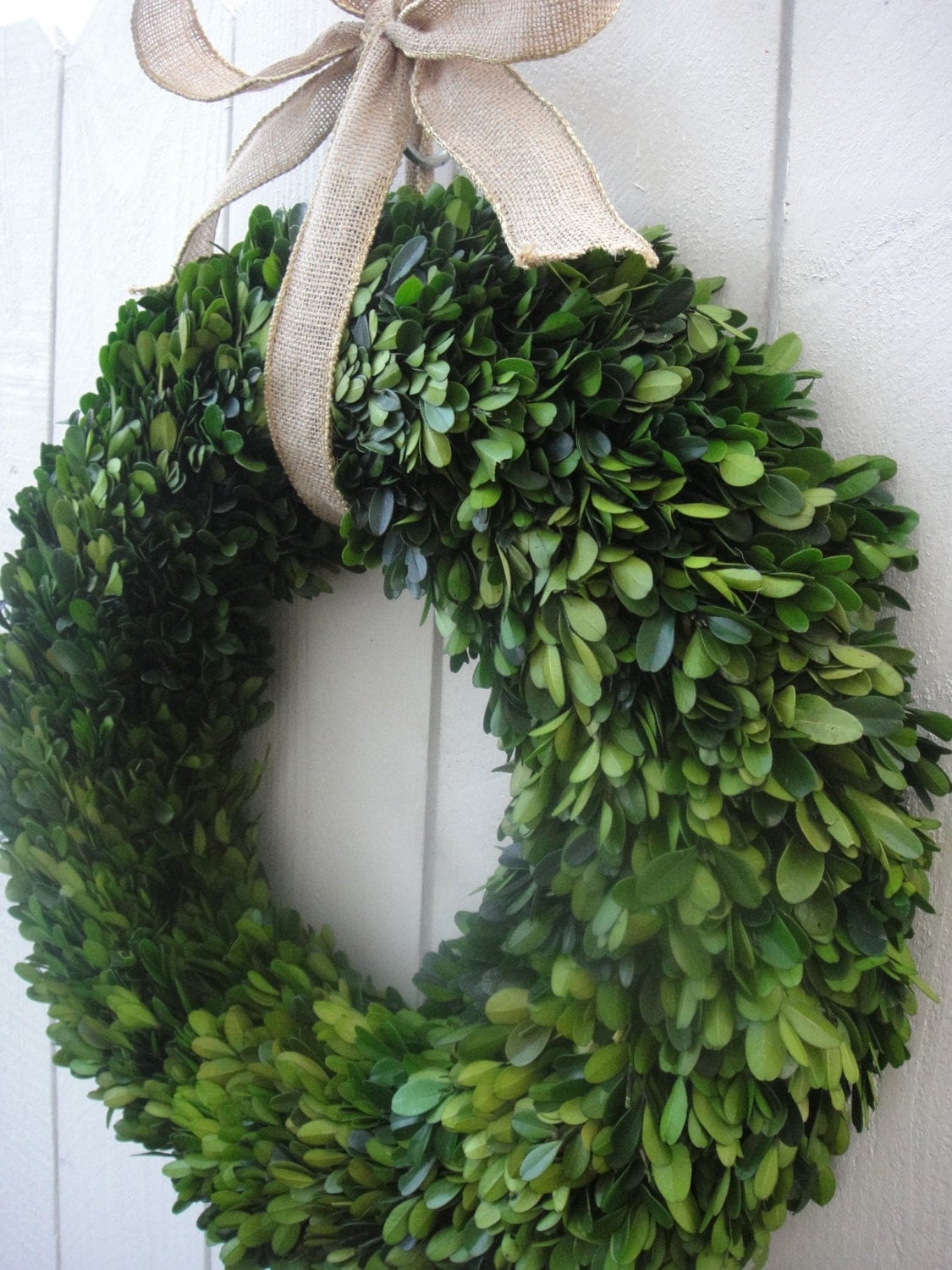 Preserved Boxwood Wreaths Boxwood Wreath Preserved