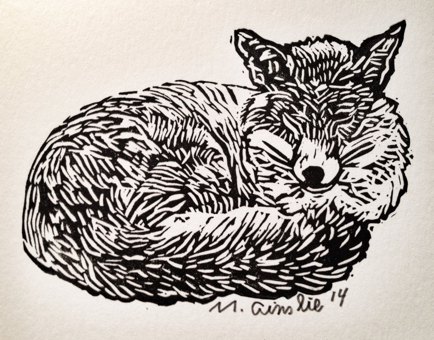 Sleeping fox, fox, linocut, lino cut, fablemountain, fox card, fox print, fox linocut, mark ainslie