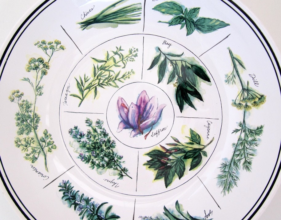 Williams Sonoma Herb Pasta Salad Serving Bowl Large 13 In