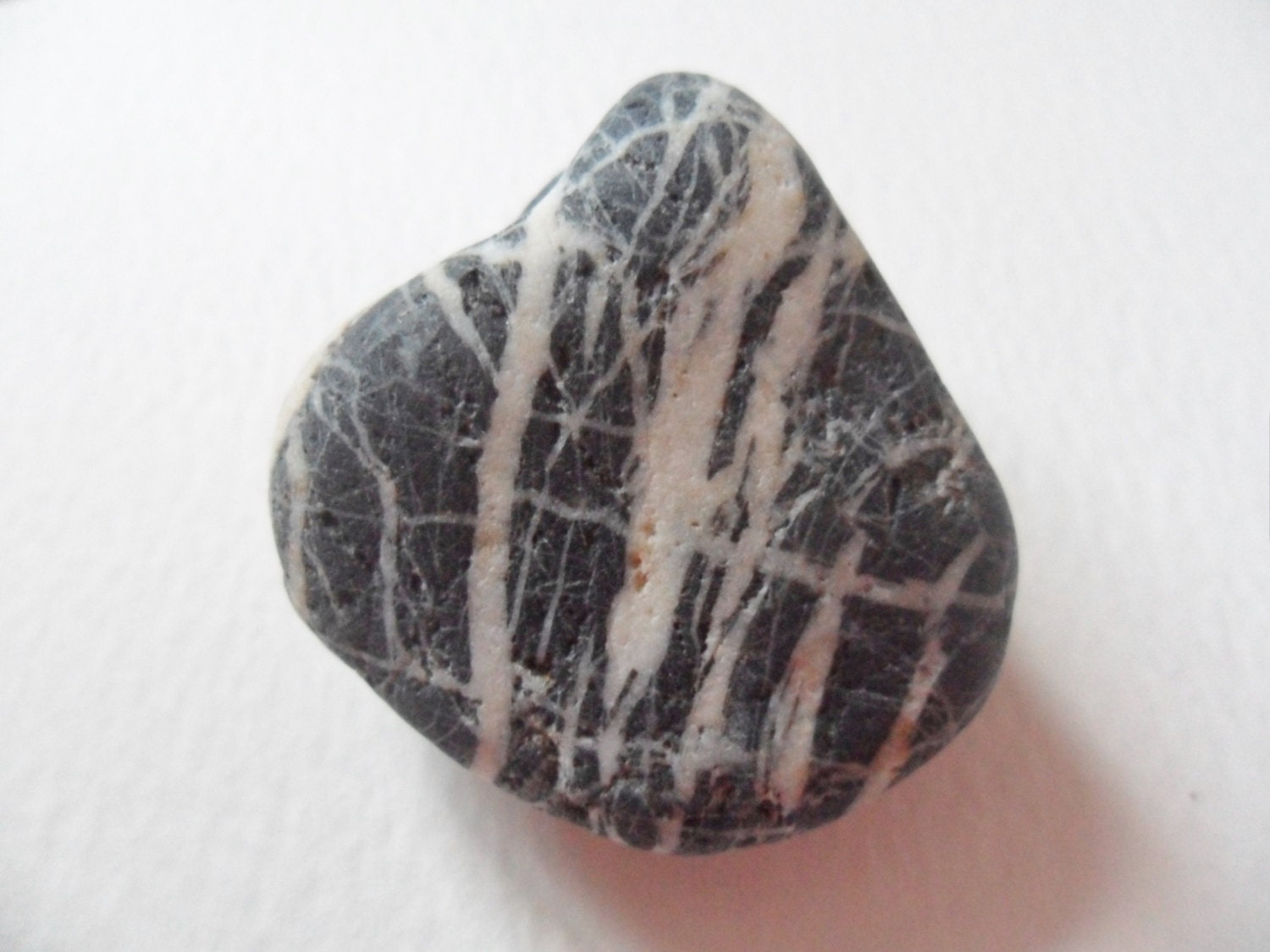 Striking black and white striped large beach stone/pebble from