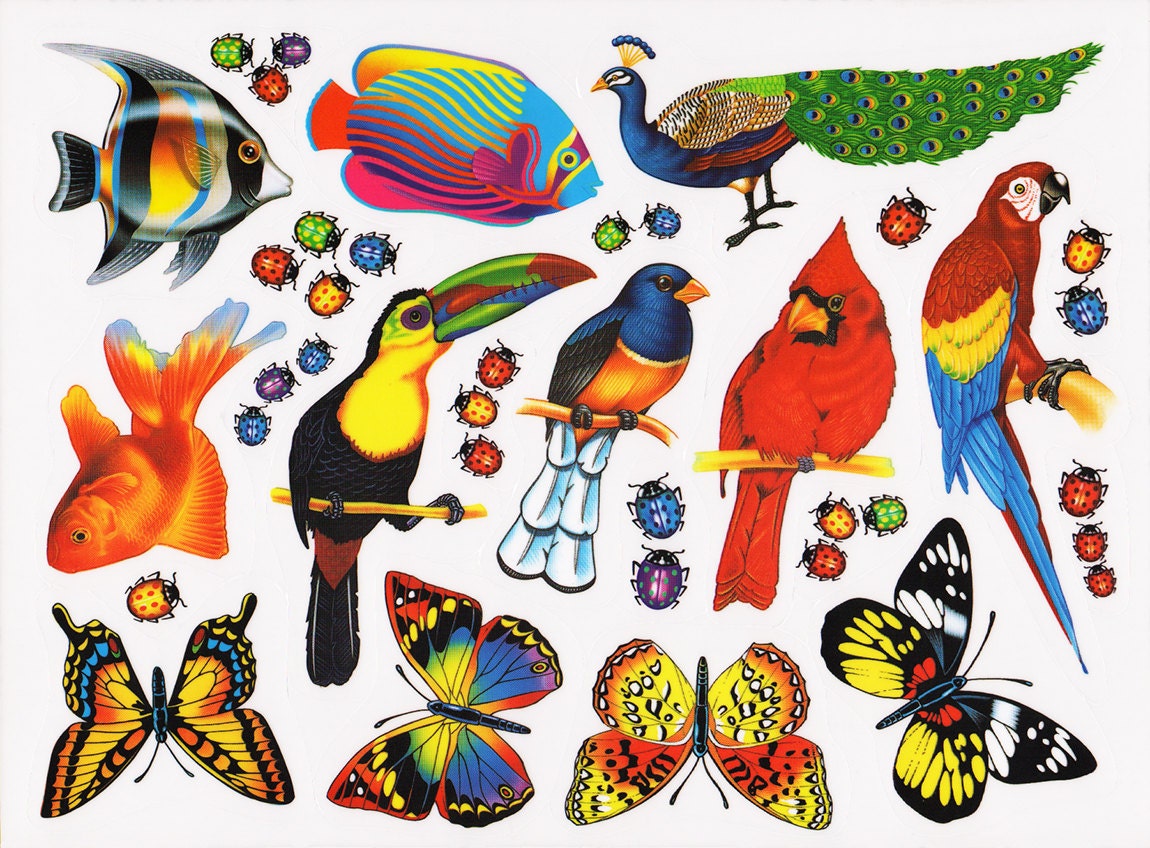 99 Nature Window Clings Decorations